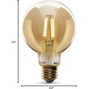 image:imageFeit Electric Vintage Exposed Filament Smoke Glass LED AT19 with a Medium E26 Base Light Bulb  60W Equivalent  10 Year Life  300 Lumen  5000K Daylight  Dimmable  Original VintageSoft White