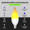 image:imageFlame Effect BPFLAMECLED2 LED Candelabra Light Bulb2 Count Pack of 1