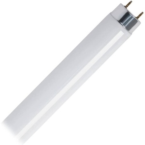 image:imageFeit Electric 90470  F30T8CW 3 Foot Plus Straight T8 Fluorescent Tube Light Bulb