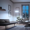 image:imageFeit Electric A19 LED Light Bulb 3Way Adjustable Wattage Soft White5000k Daylight